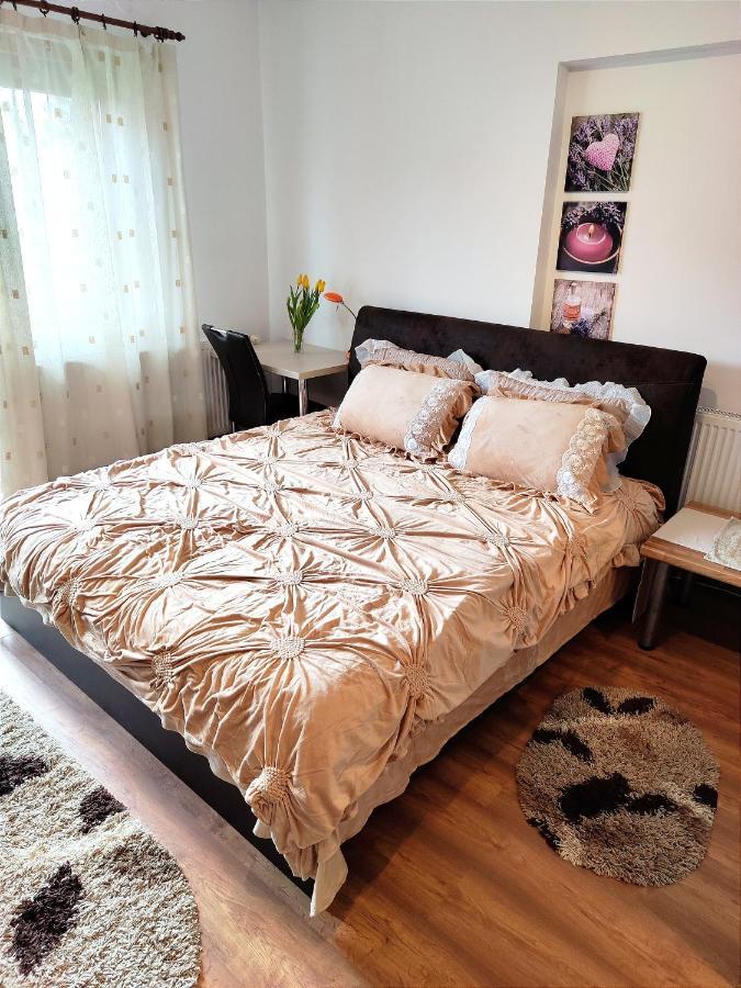 Casa De Vis Daire Braşov Dış mekan fotoğraf