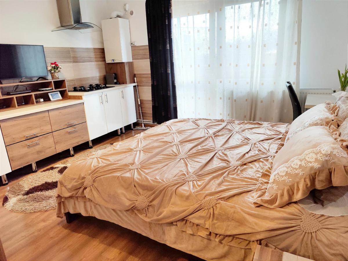 Casa De Vis Daire Braşov Dış mekan fotoğraf